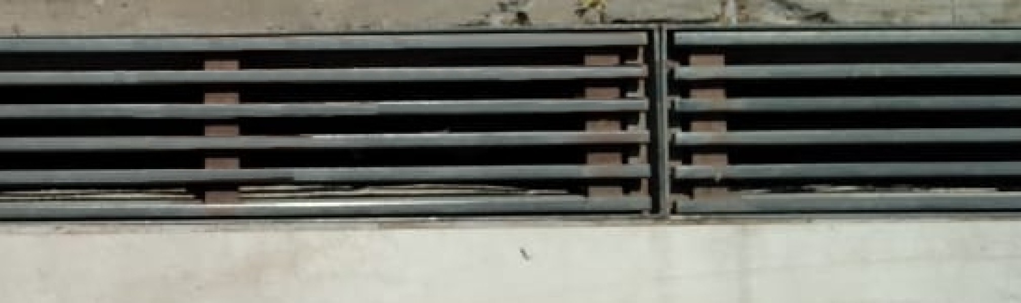 Título de la imagen